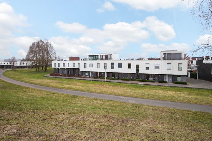 Photo 4 of Vuurvlinder 88