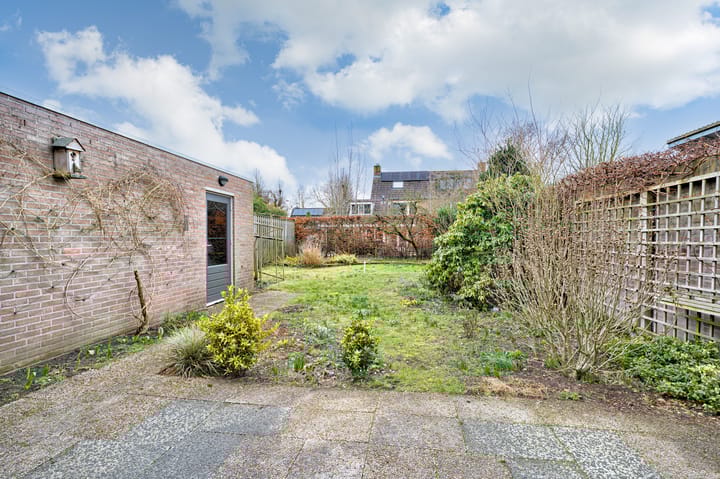 Foto 4 van Kalmoes 24