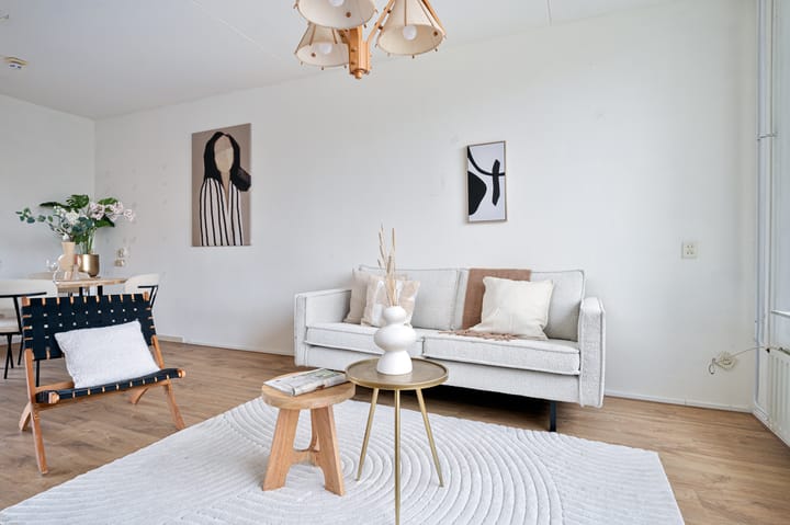 Foto 5 van Kalmoes 24