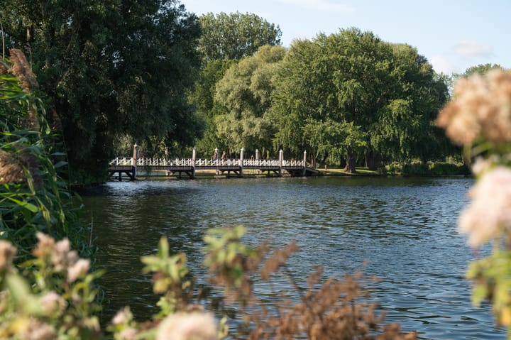 Foto 23 van Kralingseweg 87