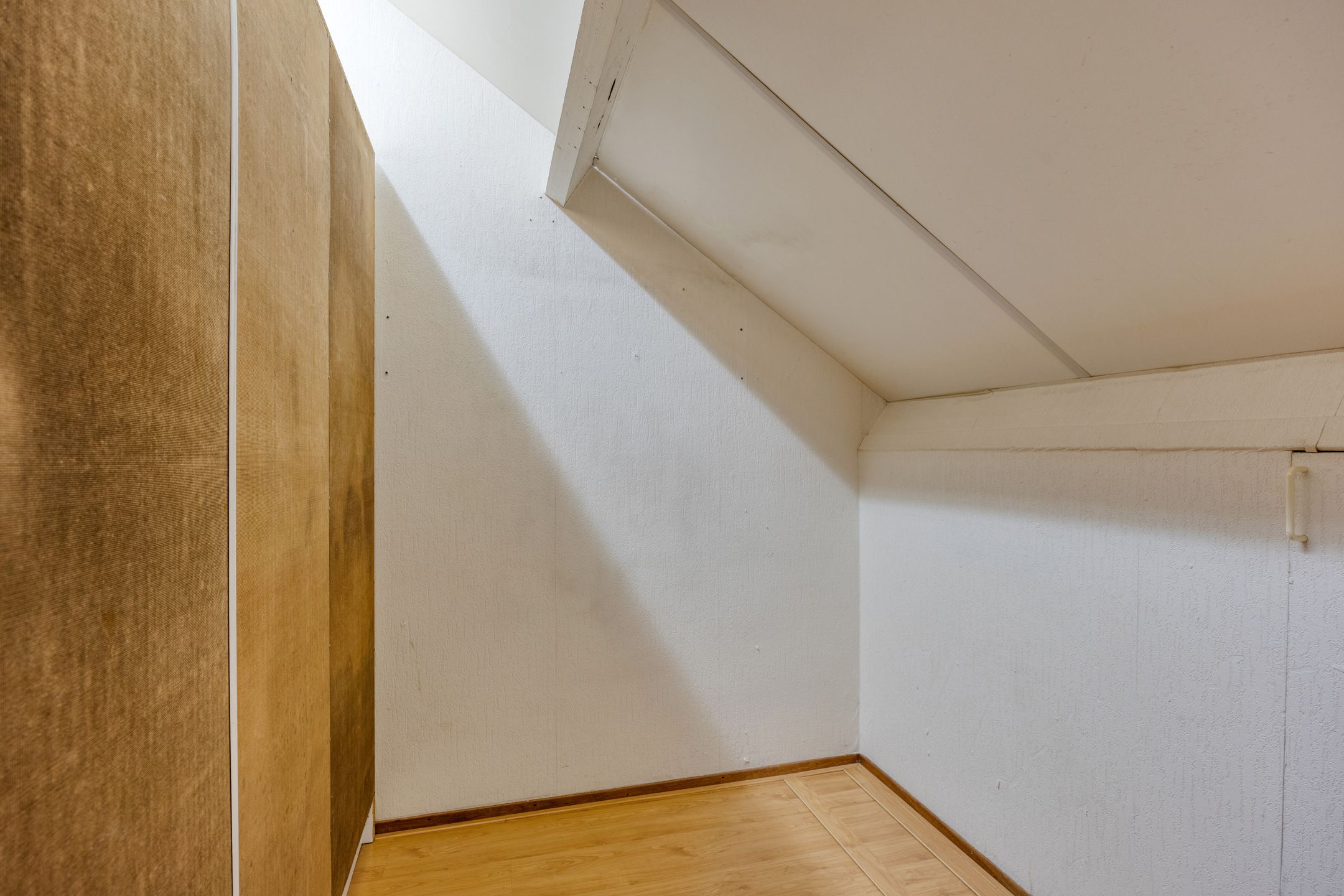 Photo 30 of Klaproos 66