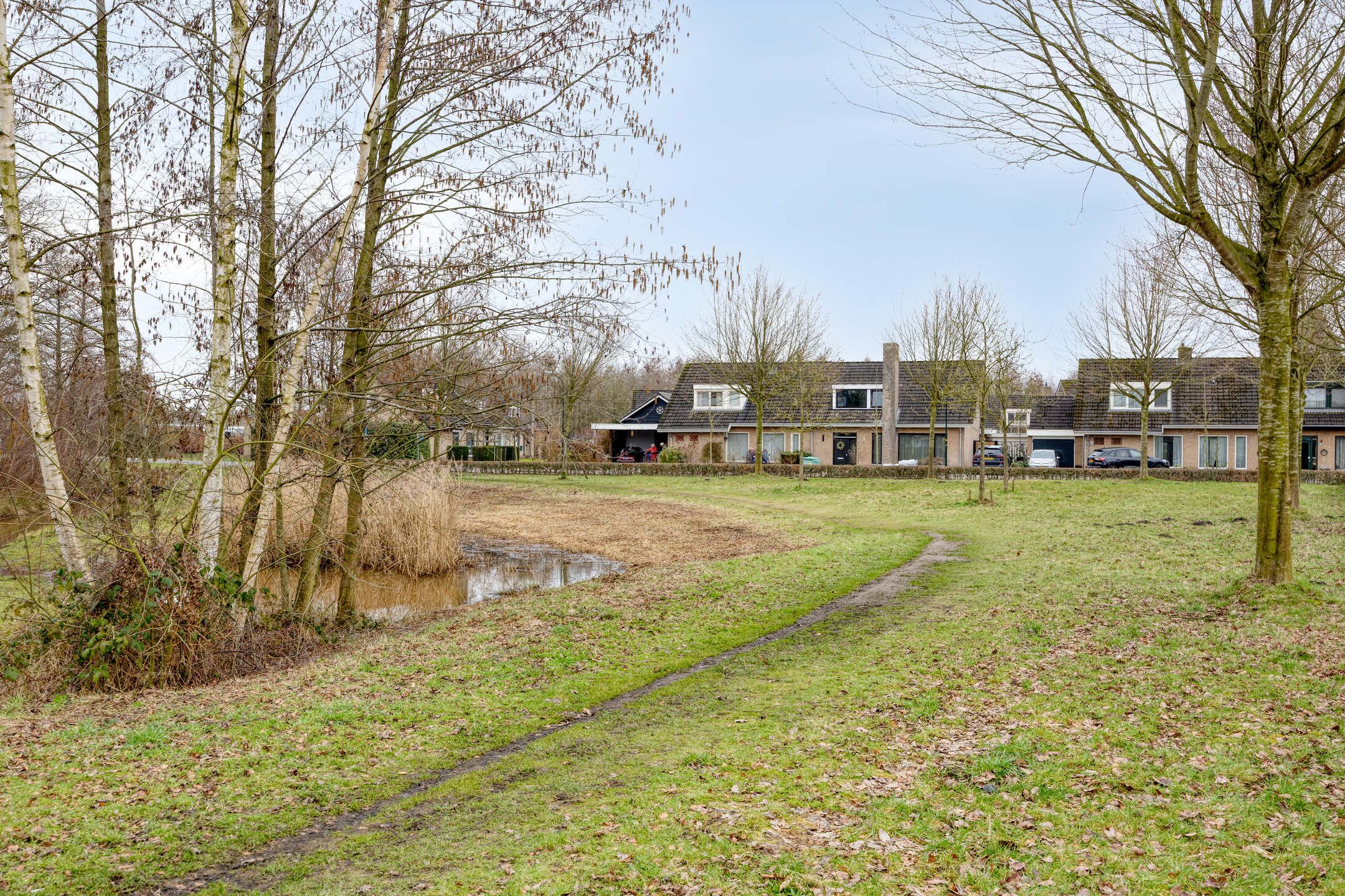 Photo 42 of Klaproos 66