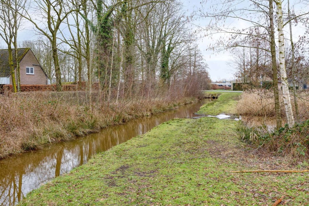 Photo 43 of Klaproos 66