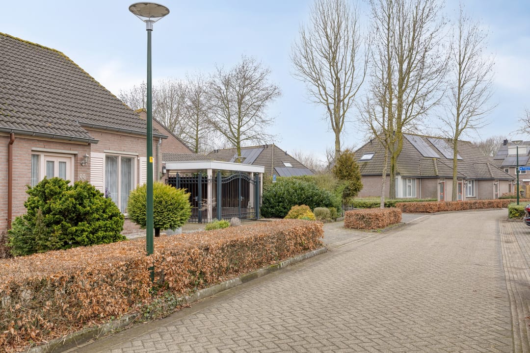 Photo 46 of Klaproos 66