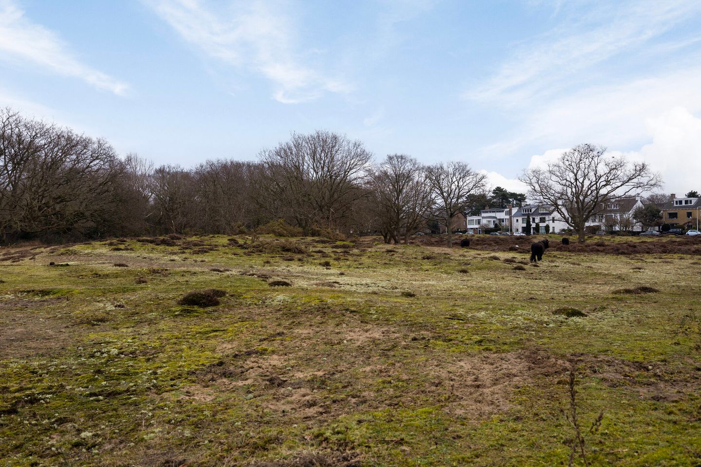 Foto 44 van De Savornin Lohmanlaan 71