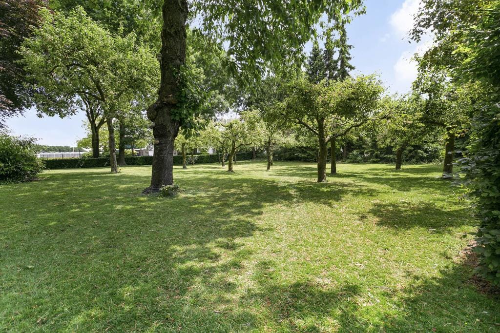 Foto 24 van Uilecotenweg 49