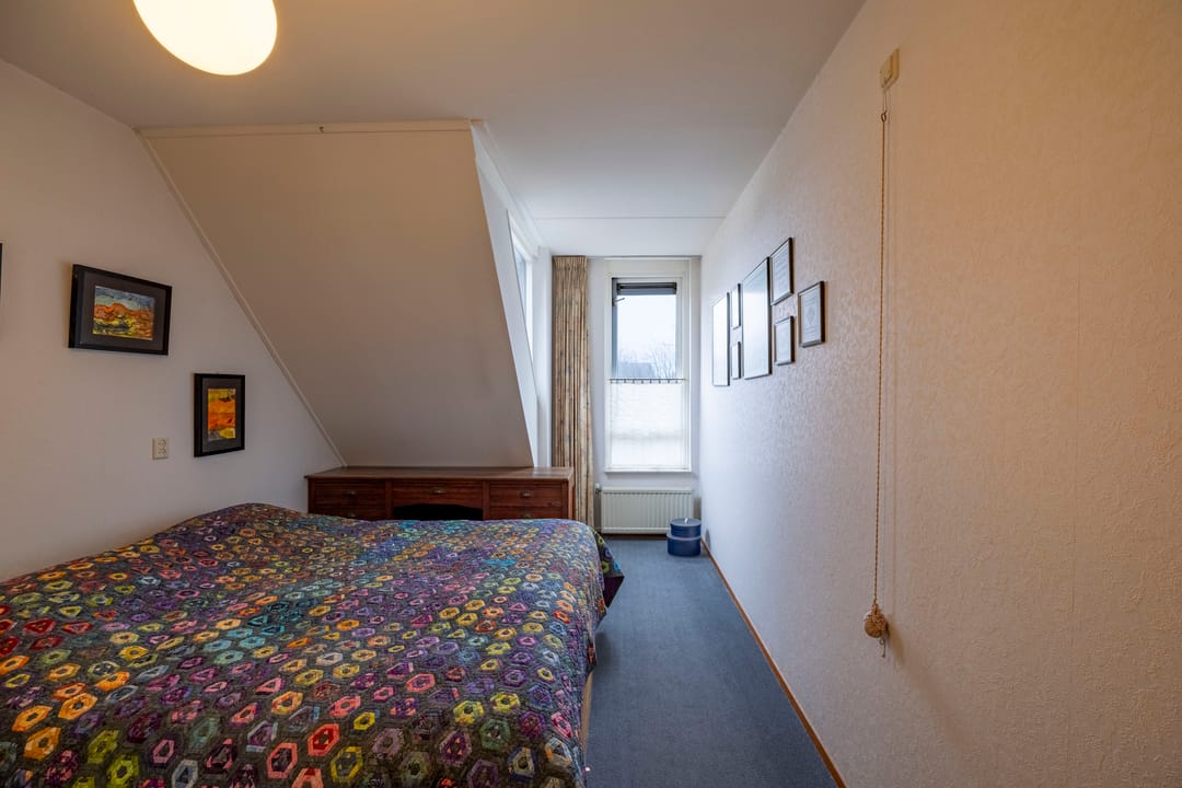 Foto 16 van Silene 6