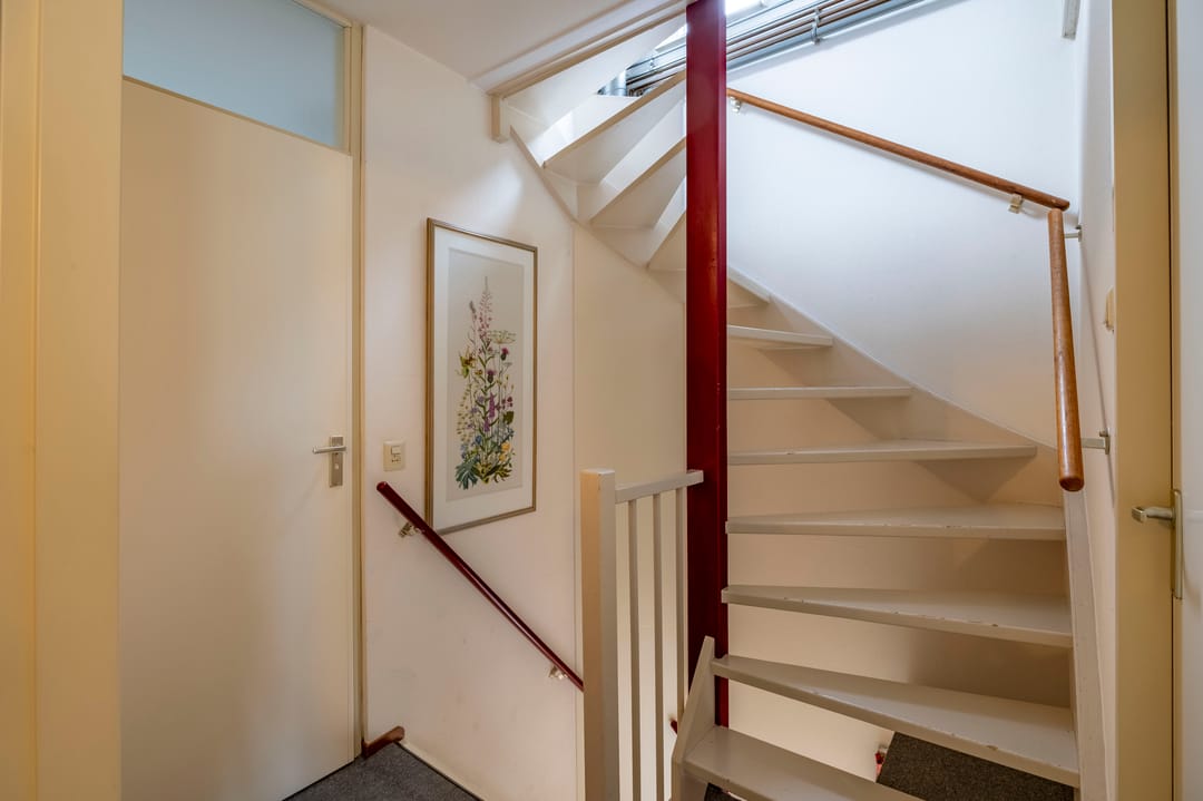 Foto 22 van Silene 6