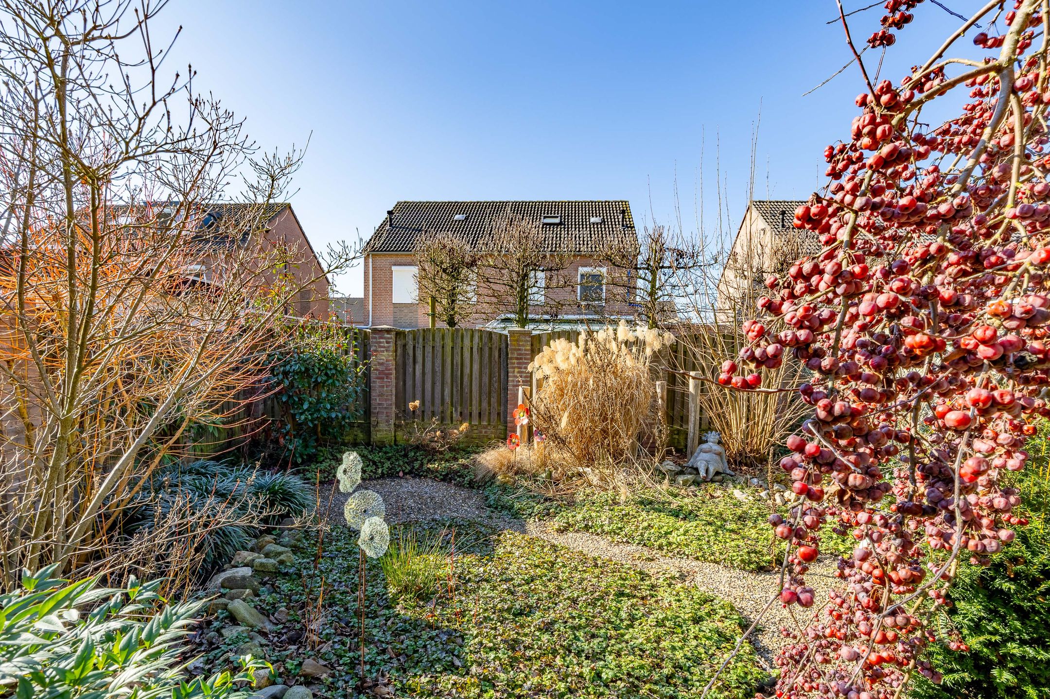 Foto 27 van Silene 6