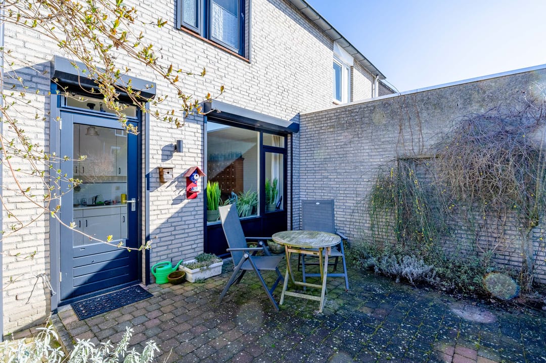 Foto 28 van Silene 6