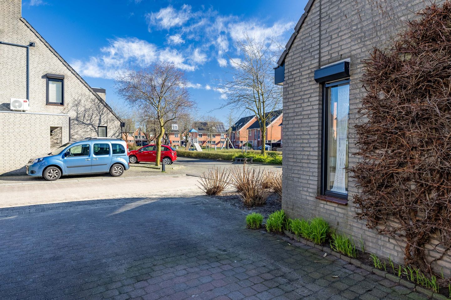 Foto 29 van Silene 6