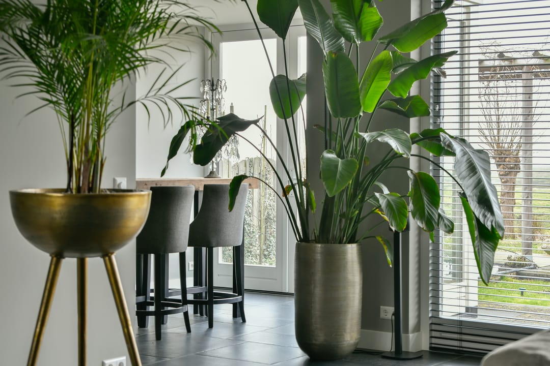 Photo 13 of Dodaarslaan 146