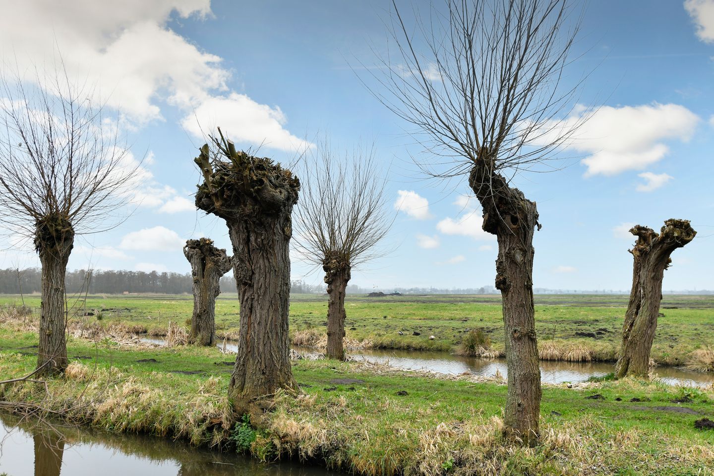 Photo 34 of Dodaarslaan 146