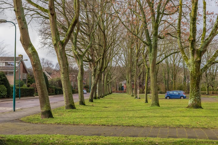 Foto 33 van M. Harpertszoon Tromplaan 190