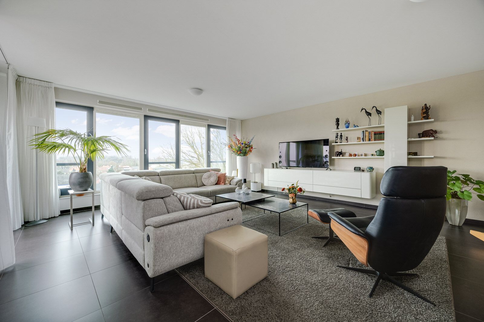 Foto 12 van Octogoon 32