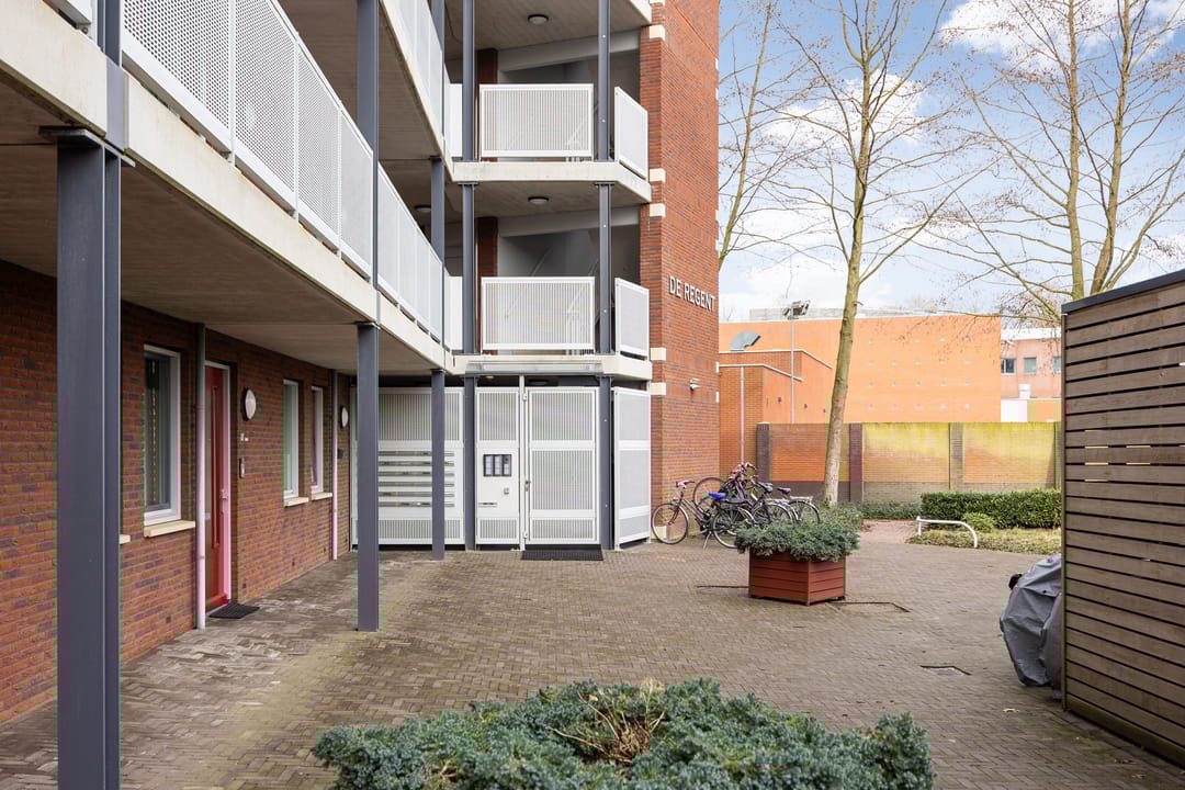 Foto 53 van Octogoon 32