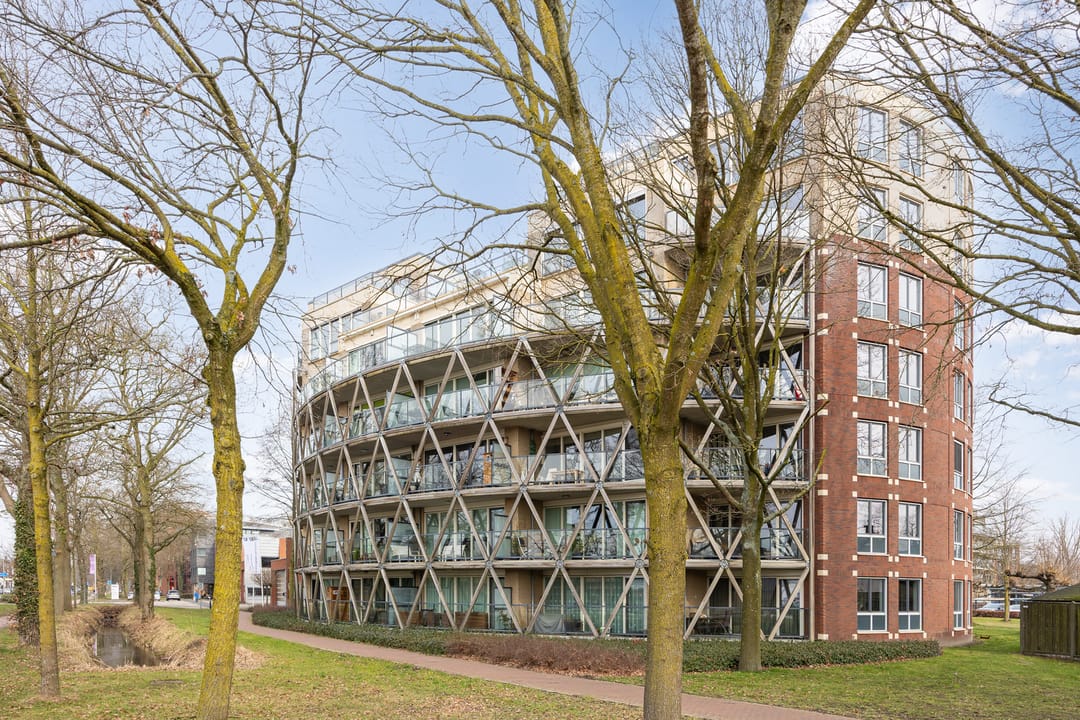 Foto 58 van Octogoon 32