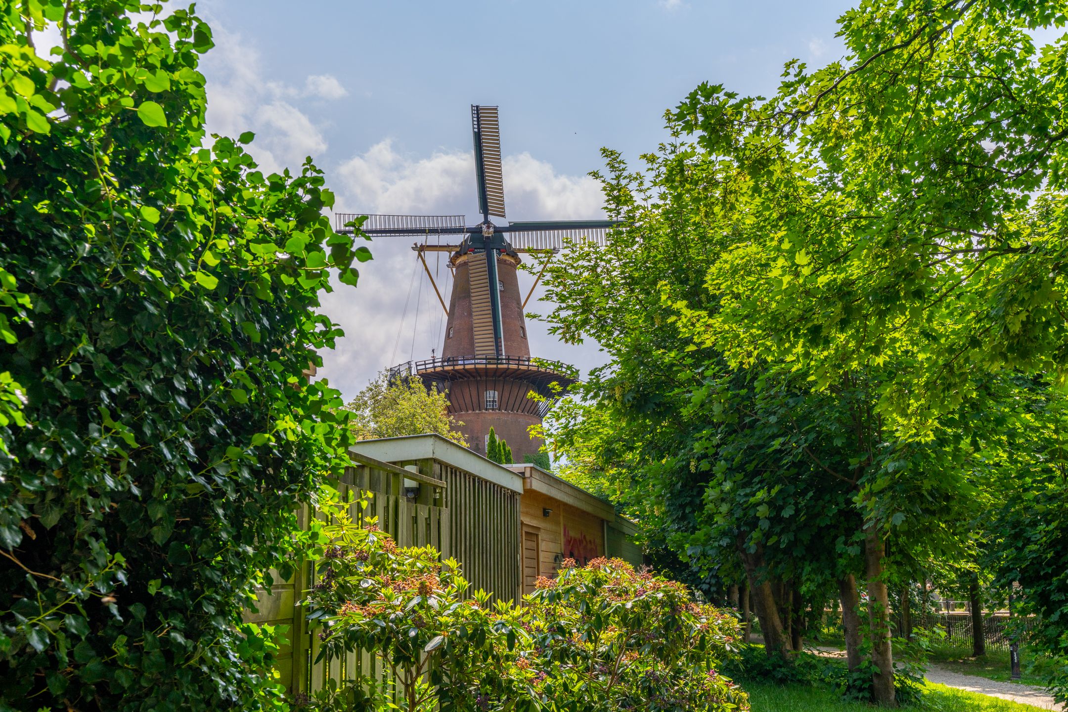 Foto 51 van Adelaarstraat 45