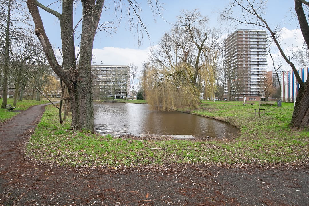 Foto 37 van Cordell Hullplaats 333