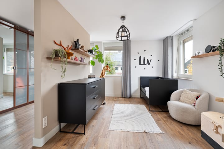 Photo 18 of Jupiter 14