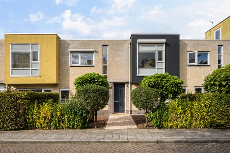 undefined main image