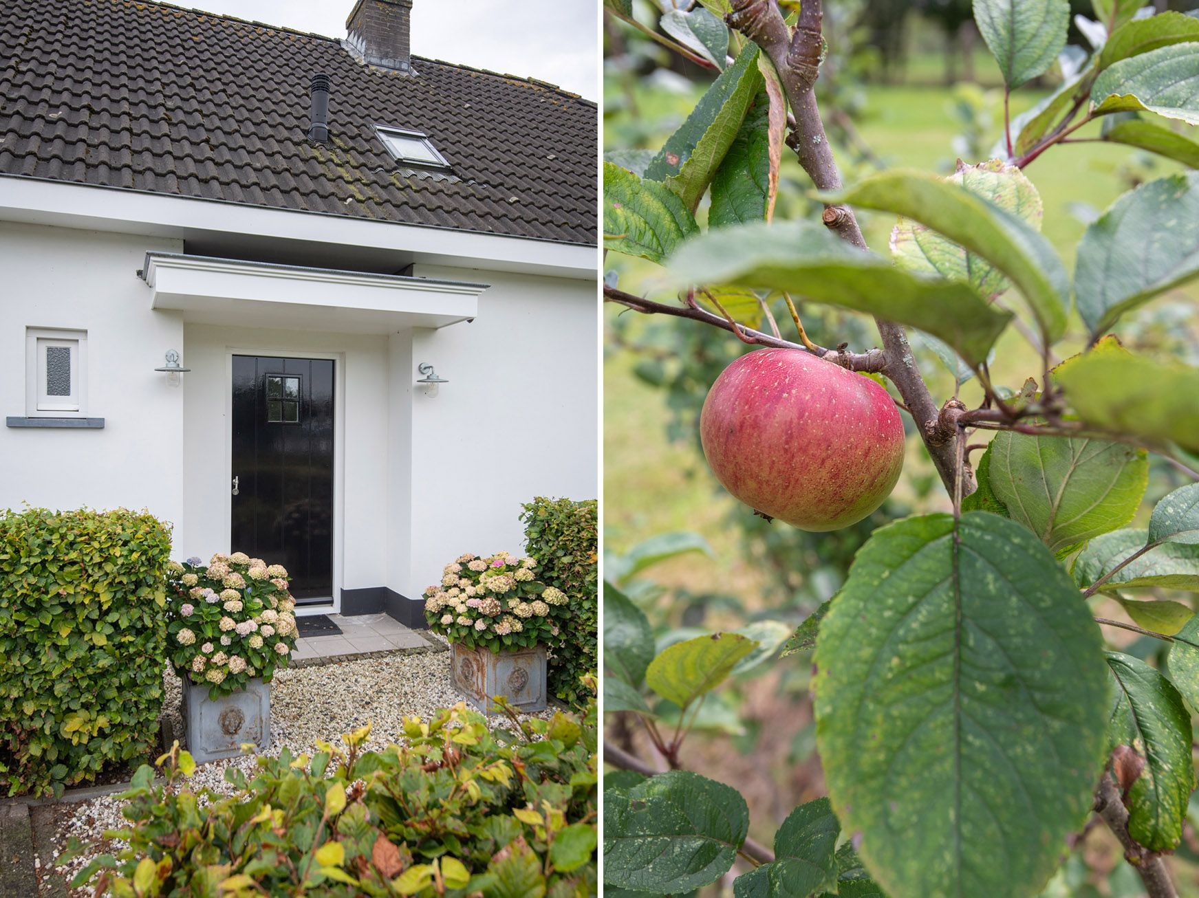 Foto 24 van Laakweg 78-B