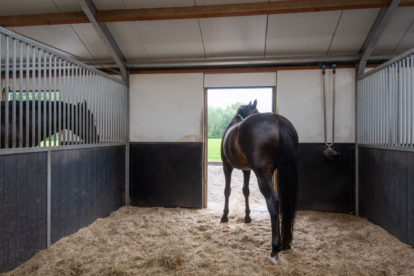 Foto 40 van Laakweg 78-B