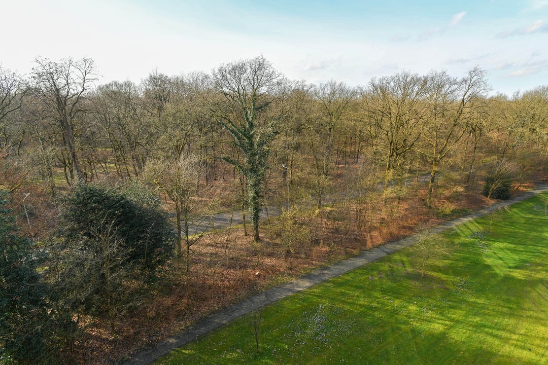 Foto 23 van Beethovenlaan 267