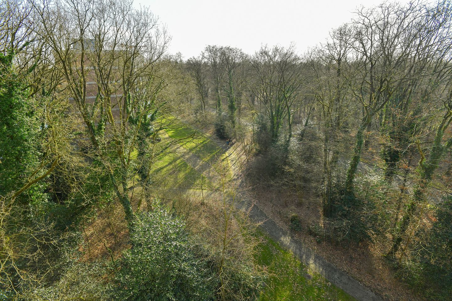 Foto 25 van Beethovenlaan 267