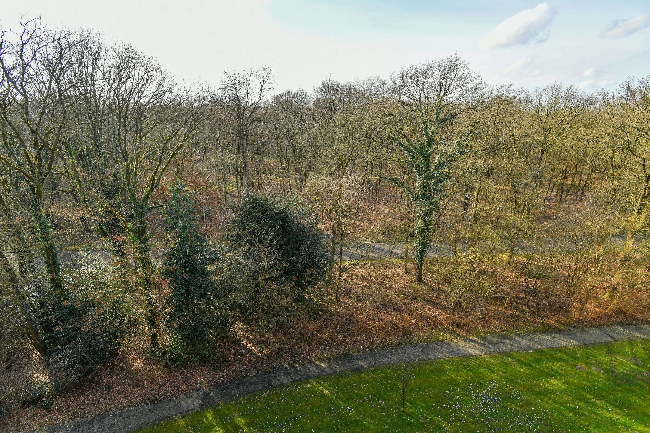 Foto 24 van Beethovenlaan 267