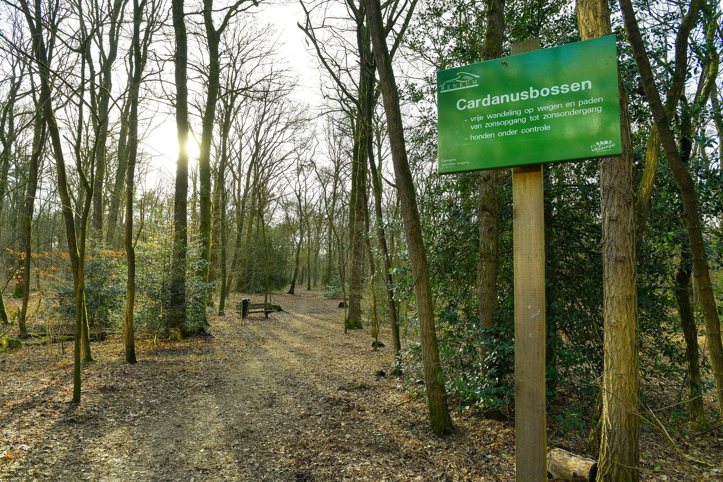 Foto 40 van Beethovenlaan 267