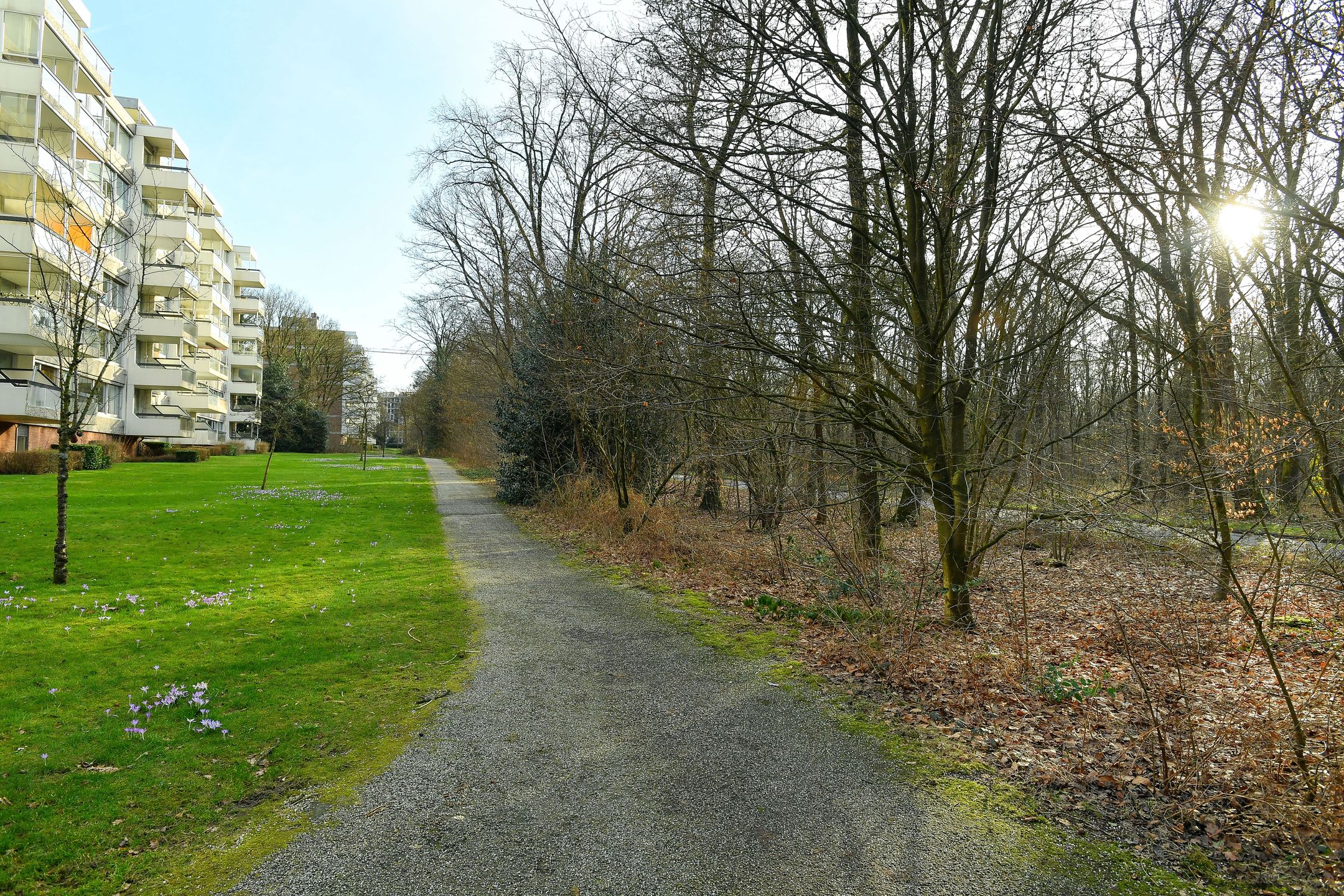 Foto 39 van Beethovenlaan 267