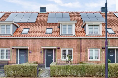 undefined main image