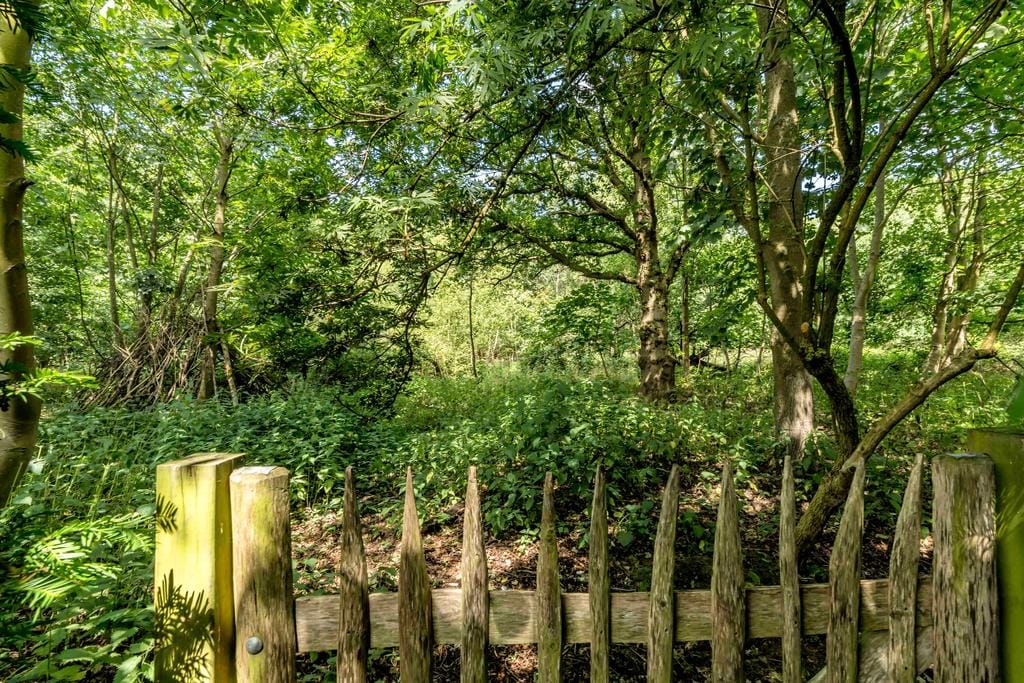 Foto 14 van Binnenduin 13