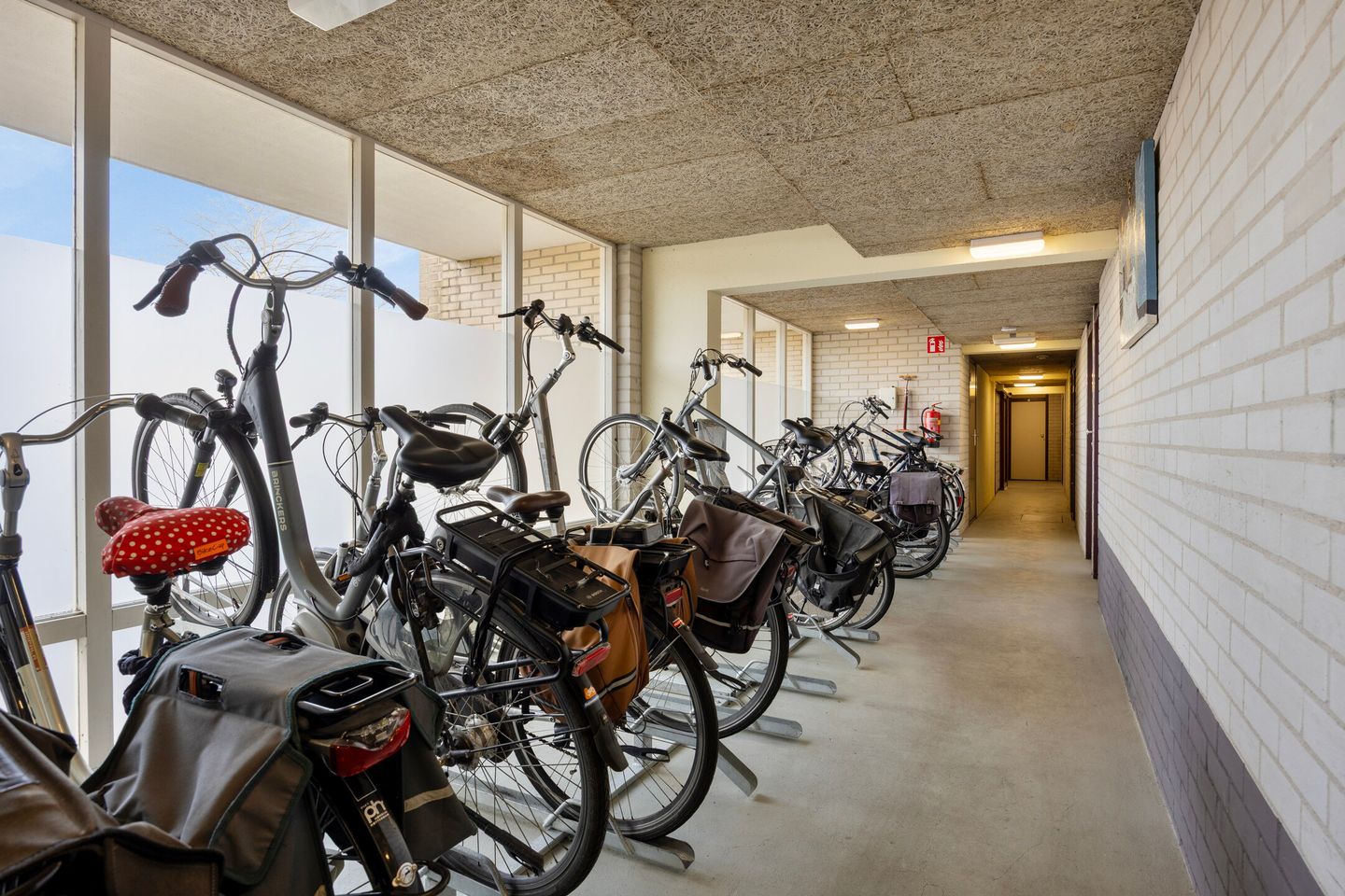 Foto 35 van Queridolaan 65