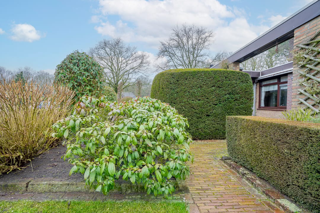 Foto 46 van Willemstraat 5