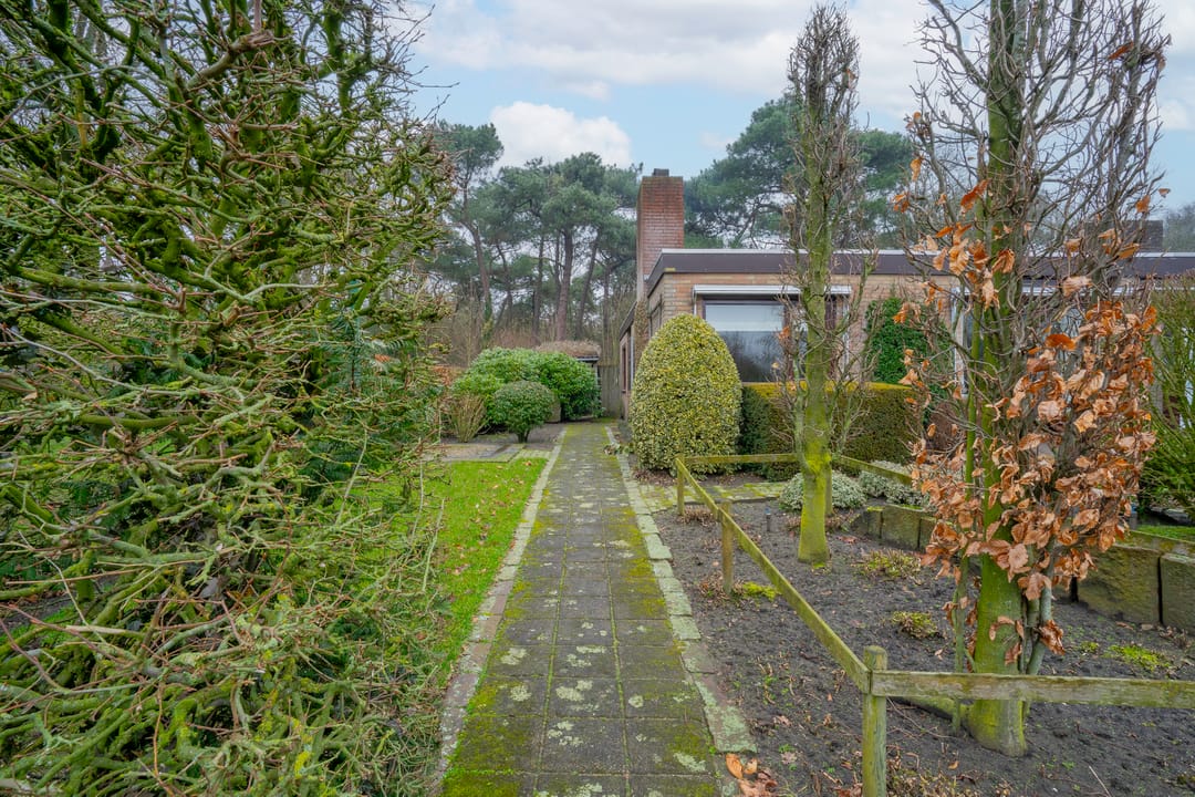 Foto 47 van Willemstraat 5