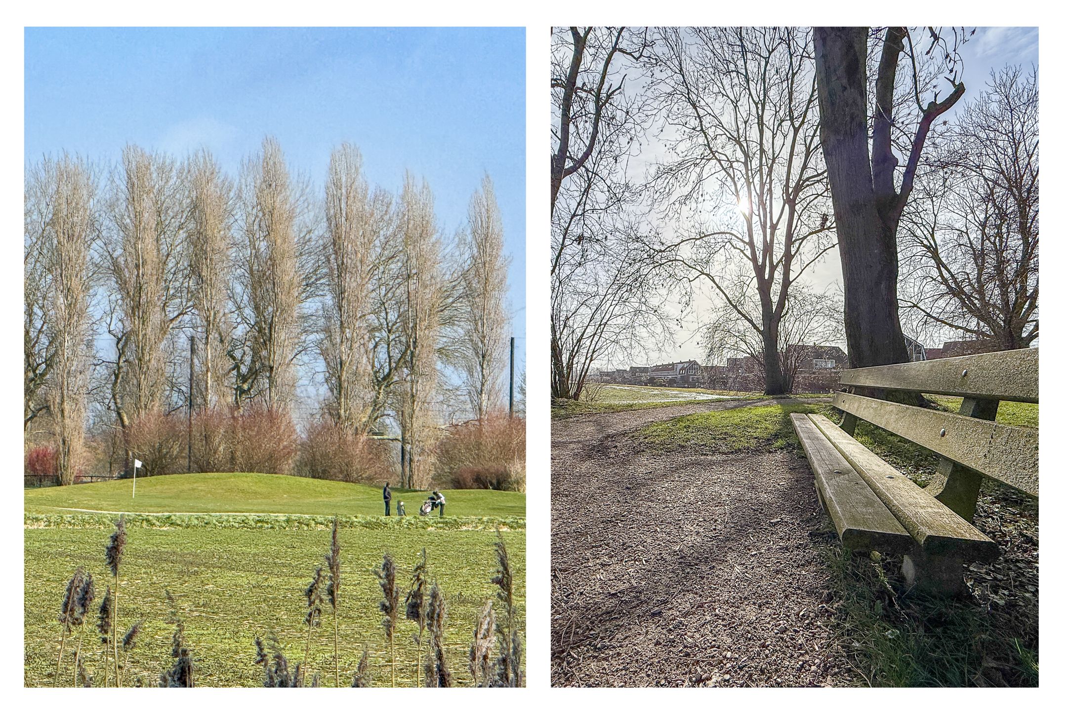 Foto 72 van Tulpenlaan 14