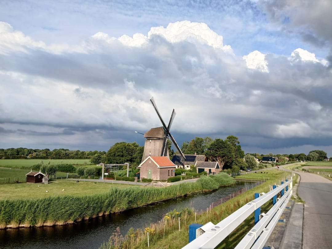 Foto 77 van Tulpenlaan 14