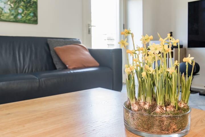 Foto 13 van Burgemeester van Randwijckstraat 48