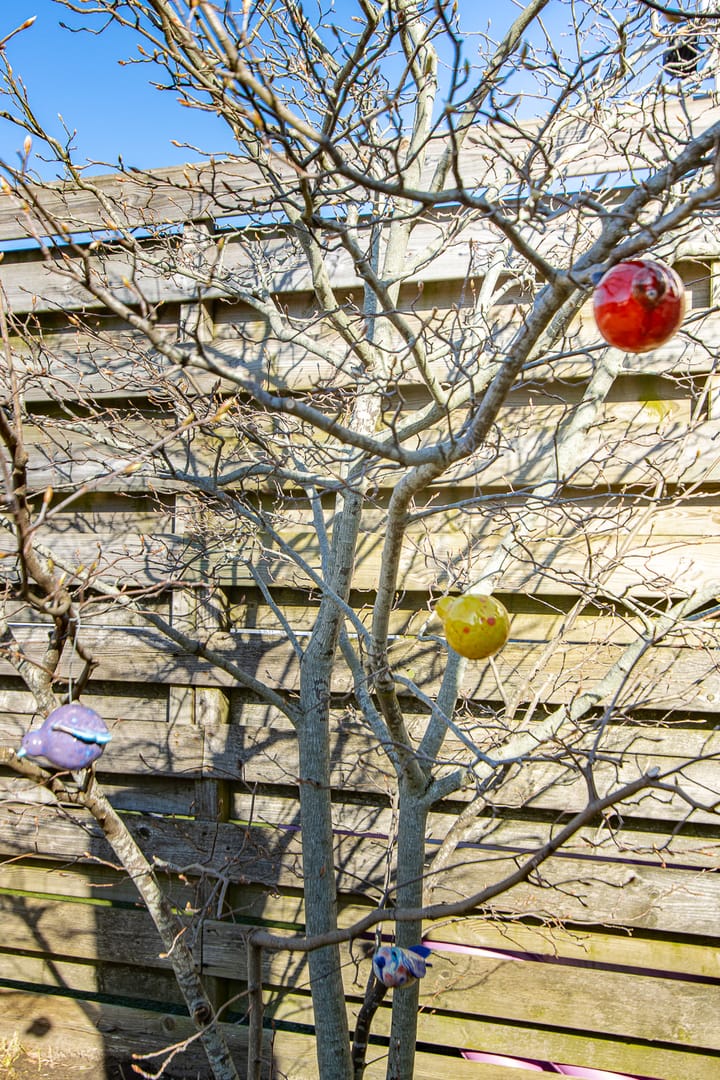 Foto 48 van Burgemeester van Randwijckstraat 48