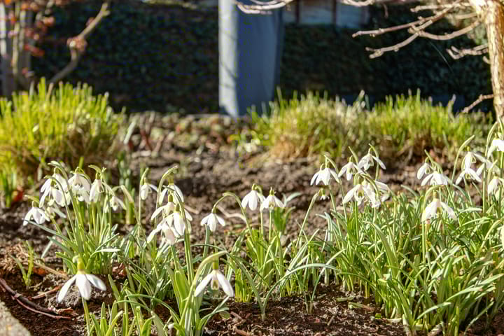 Foto 49 van Burgemeester van Randwijckstraat 48