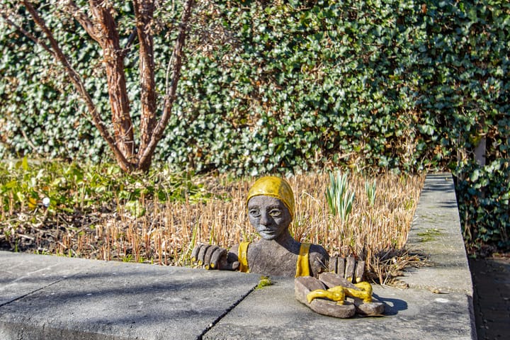 Foto 50 van Burgemeester van Randwijckstraat 48