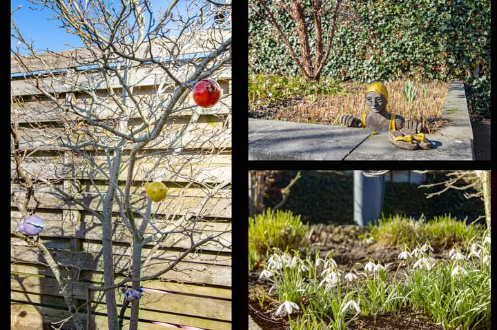 Foto 51 van Burgemeester van Randwijckstraat 48