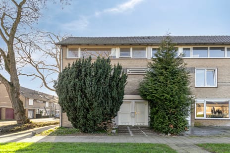 undefined main image