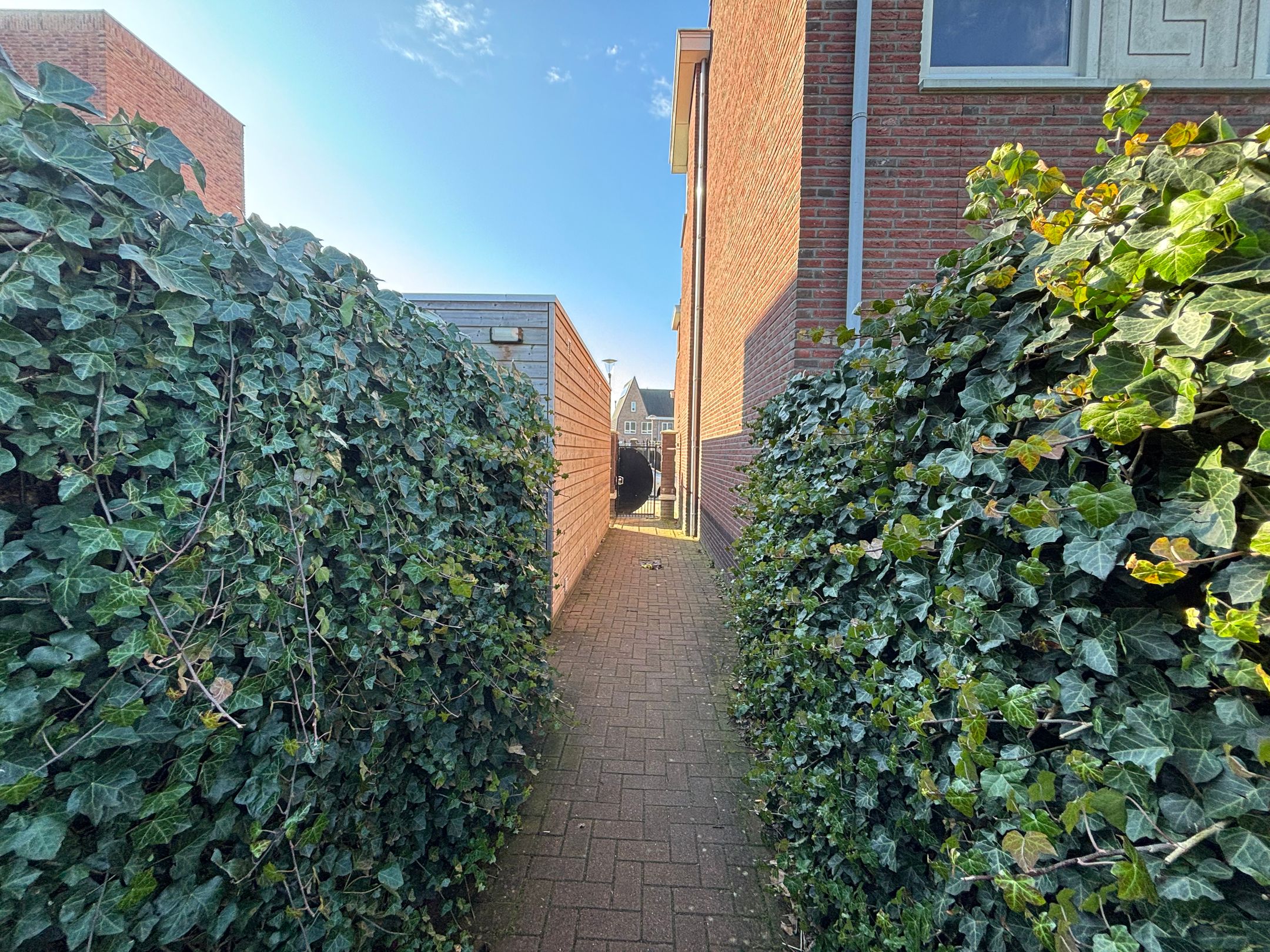 Foto 6 van Pastoor van Leeuwenstraat 26