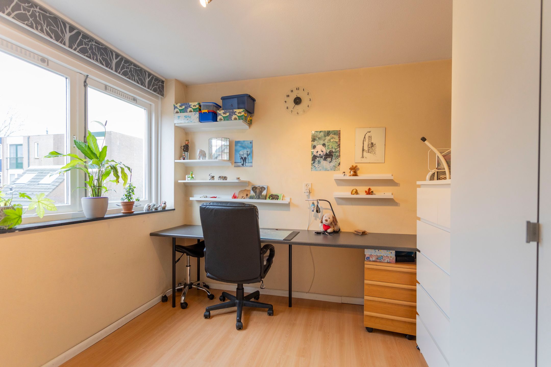 Foto 21 van Sonderholm 44