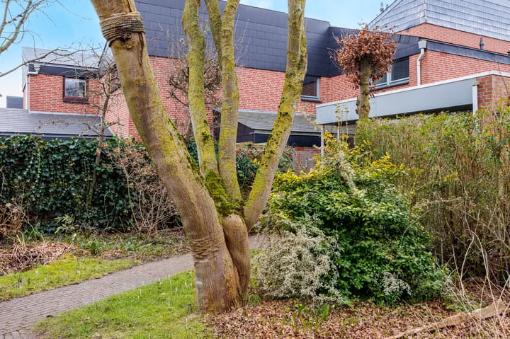 Foto 53 van Heidehof 41