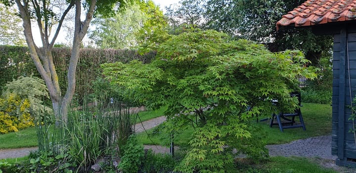 Foto 57 van Heidehof 41