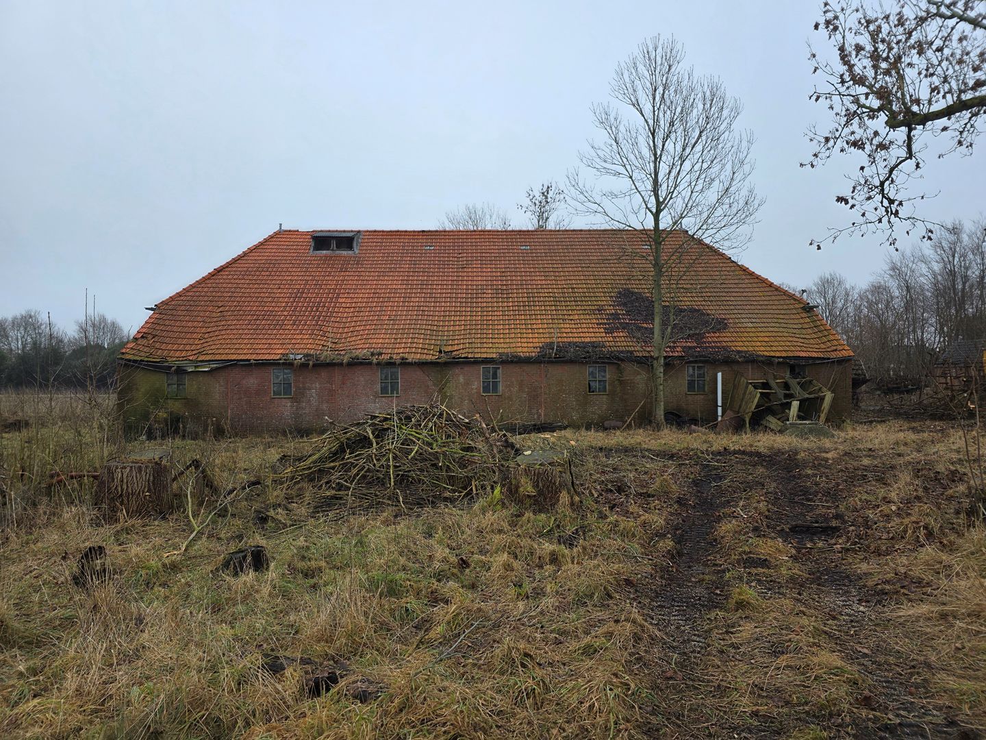 View photo 5 of Hamweg 100